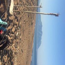 Morning Survey Beach